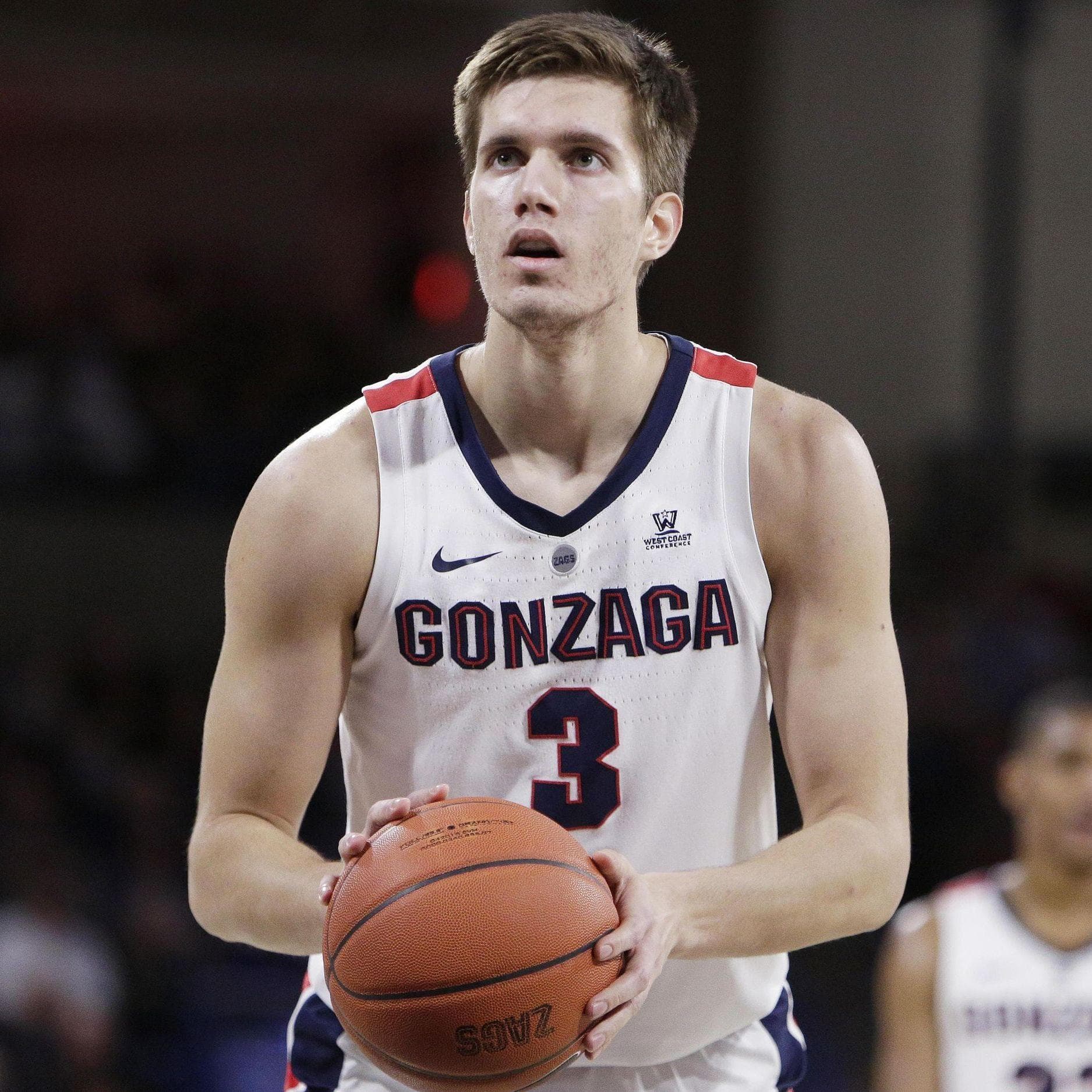 The 39 Best Serbian NBA Players Ever, Ranked