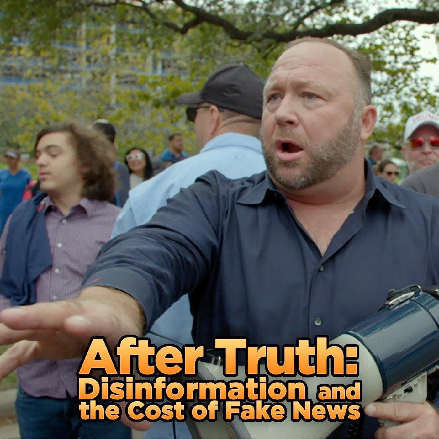 After Truth: Disinformation and the Cost of Fake News