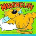 Heathcliff on Random Best Cat Cartoons