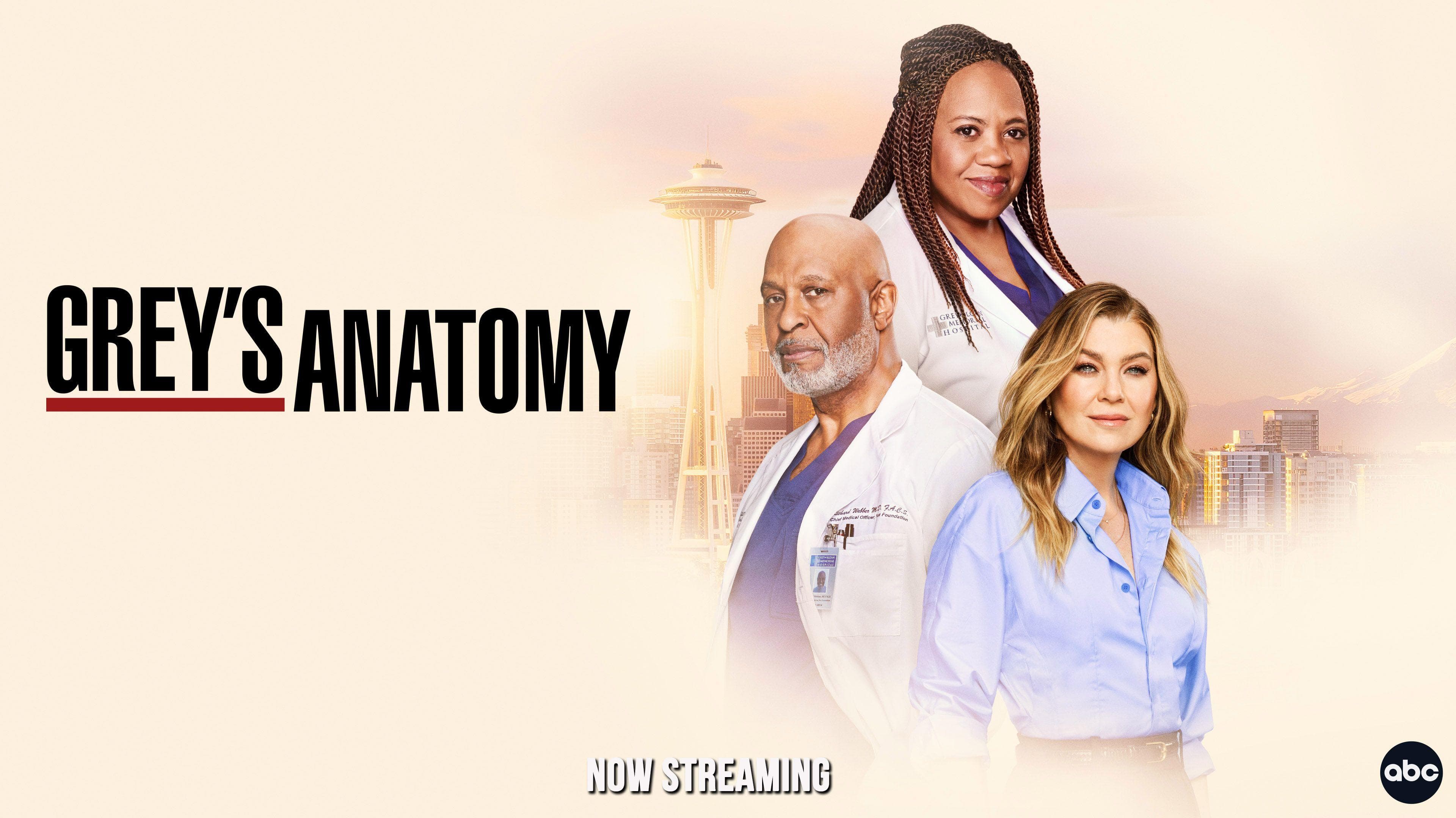 Grey's Anatomy: 'Sometimes a Fantasy'