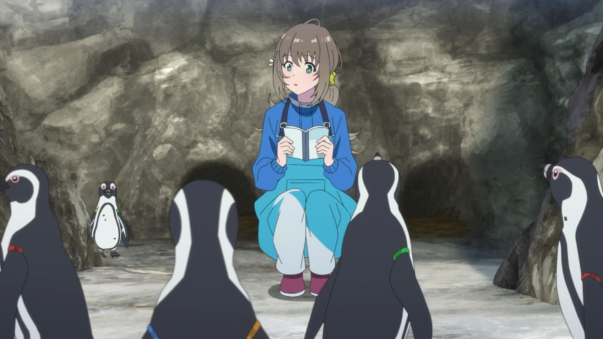 The Aquatope on White Sand