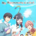 My Roommate is a Cat on Random Best Anime On Crunchyroll