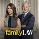 Family Law on Random Best Lawyer TV Shows