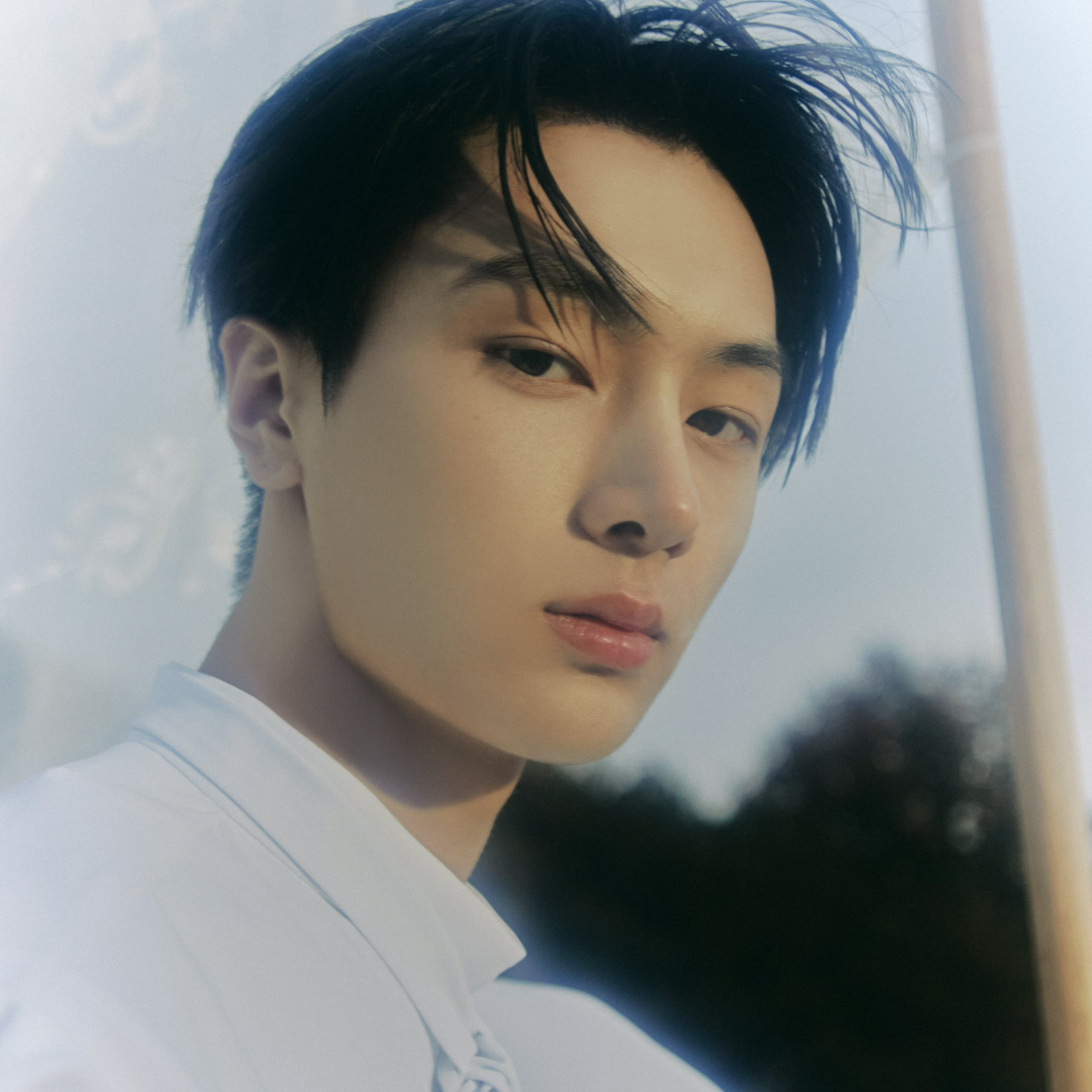 21 ENTP K-pop Idols & Korean Celebs