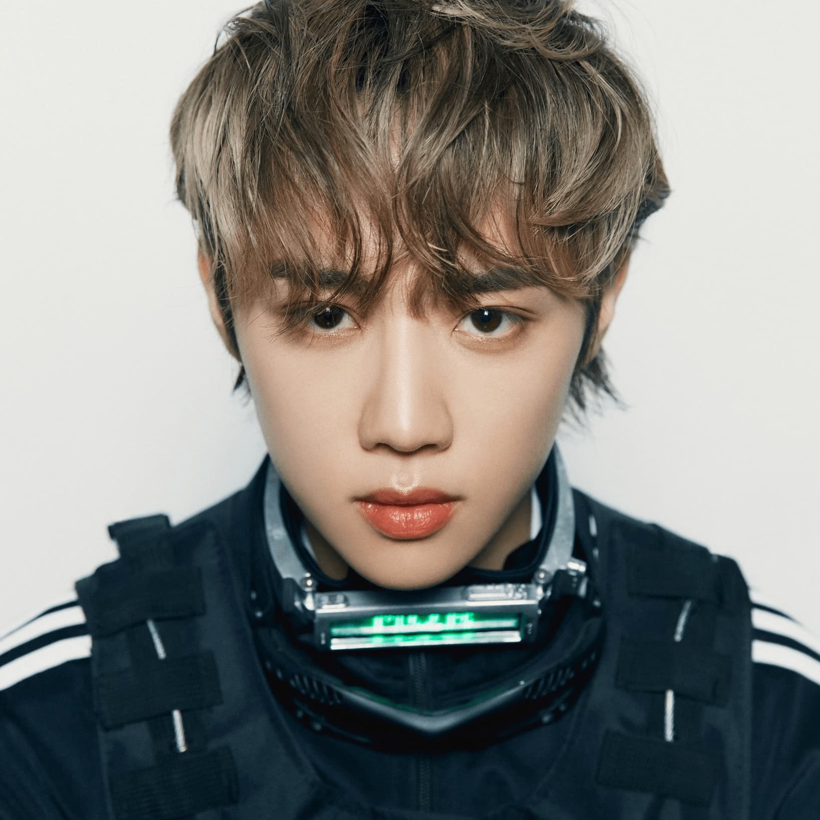 21 ENTP K-pop Idols & Korean Celebs