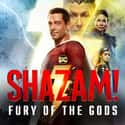 Shazam! Fury of the Gods on Random Best PG-13 Comedies