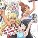 How Heavy Are the Dumbbells You Lift? on Random Best Anime On Crunchyroll