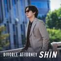 Divorce Attorney Shin on Random Best Lawyer TV Shows