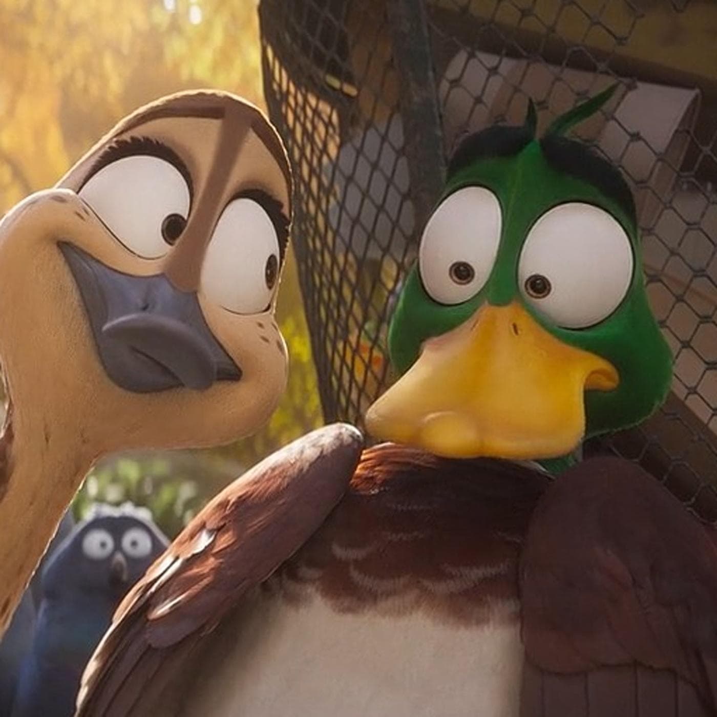 The 15 Best Movies With Birds, Ranked By Fans