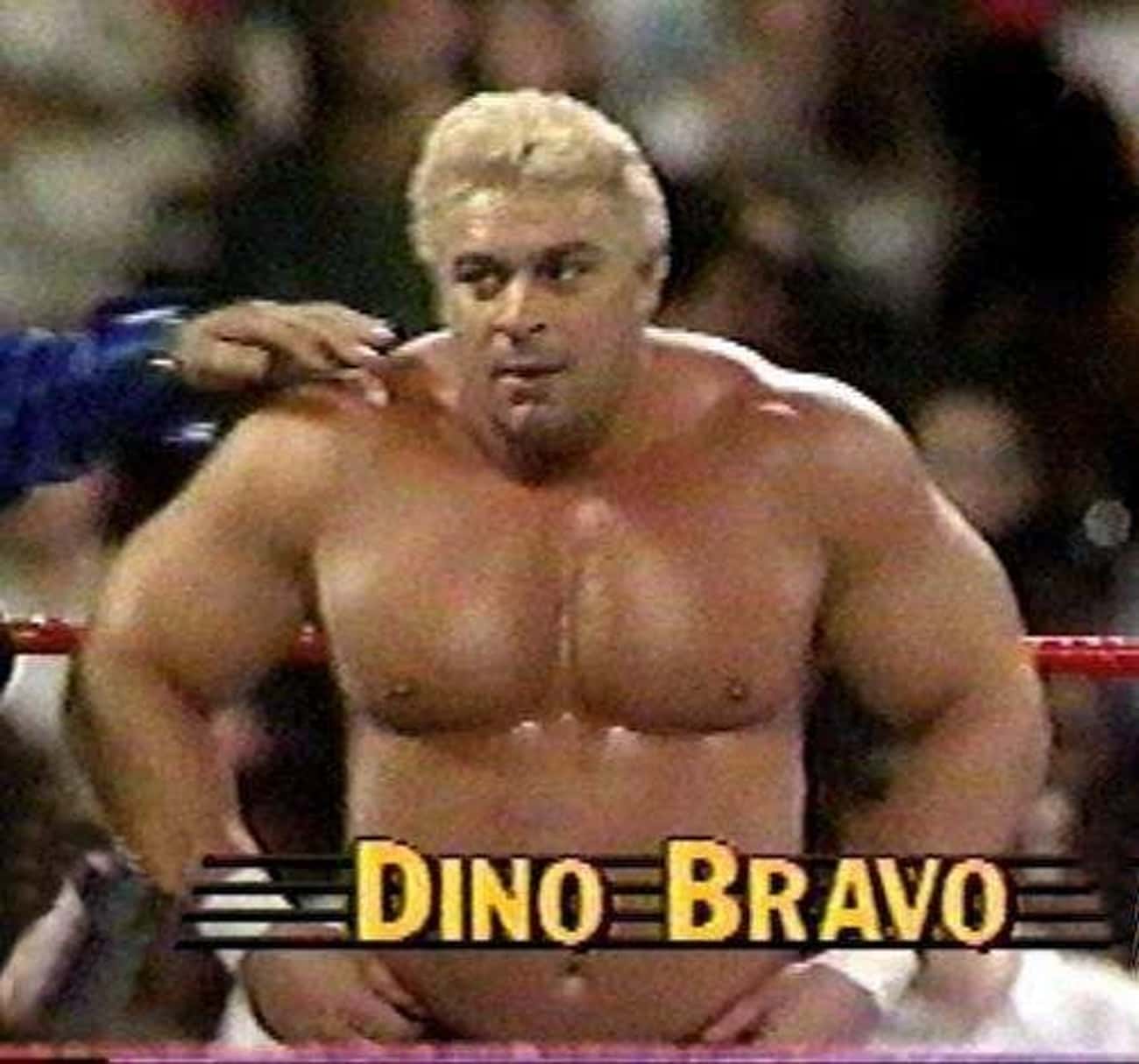 Dino Bravo
