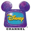 Disney Channel is listed (or ranked) 31 on the list TV Networks with the Best Shows