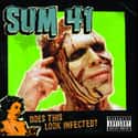 Does This Look Infected? on Random Best Sum 41 Albums