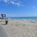 Doheny State Beach on Random Best Southern California Beaches