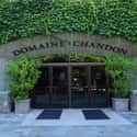 Domaine Chandon California on Random Best Wineries in Napa Valley