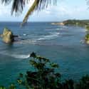 Dominica on Random Best Scuba Destinations In World