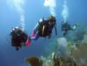 Dominican Republic on Random Best Countries for Scuba Diving