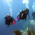 Dominican Republic on Random Best Countries for Scuba Diving