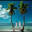 Dominican Republic on Random Best Island Honeymoon Destinations