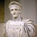 Domitian on Random Sadistic Rulers From Ancient History