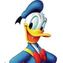 Donald Duck on Random Greatest Cartoon Characters in TV History
