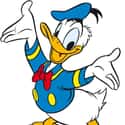 Donald Duck on Random Cutest Cartoon Ducks