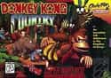Donkey Kong Country on Random Best Classic Video Games