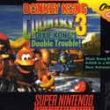 Donkey Kong Country 3: Dixie Kong's Double Trouble! on Random Best Classic Video Games