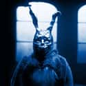 Drew Barrymore, Ashley Tisdale, Jake Gyllenhaal   Donnie Darko is a 2001 American supernatural drama film written and directed by Richard Kelly and starring Jake Gyllenhaal, Drew Barrymore, Patrick Swayze, Maggie Gyllenhaal, Noah Wyle, Jena...