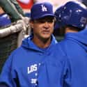 Don Mattingly on Random Person Will Be The 2020 National League Manager Of Yea
