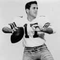 Don Meredith on Random Quarterback To Achieve A Perfect Passer Rating