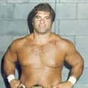 Don Muraco on Random Best ECW Wrestlers