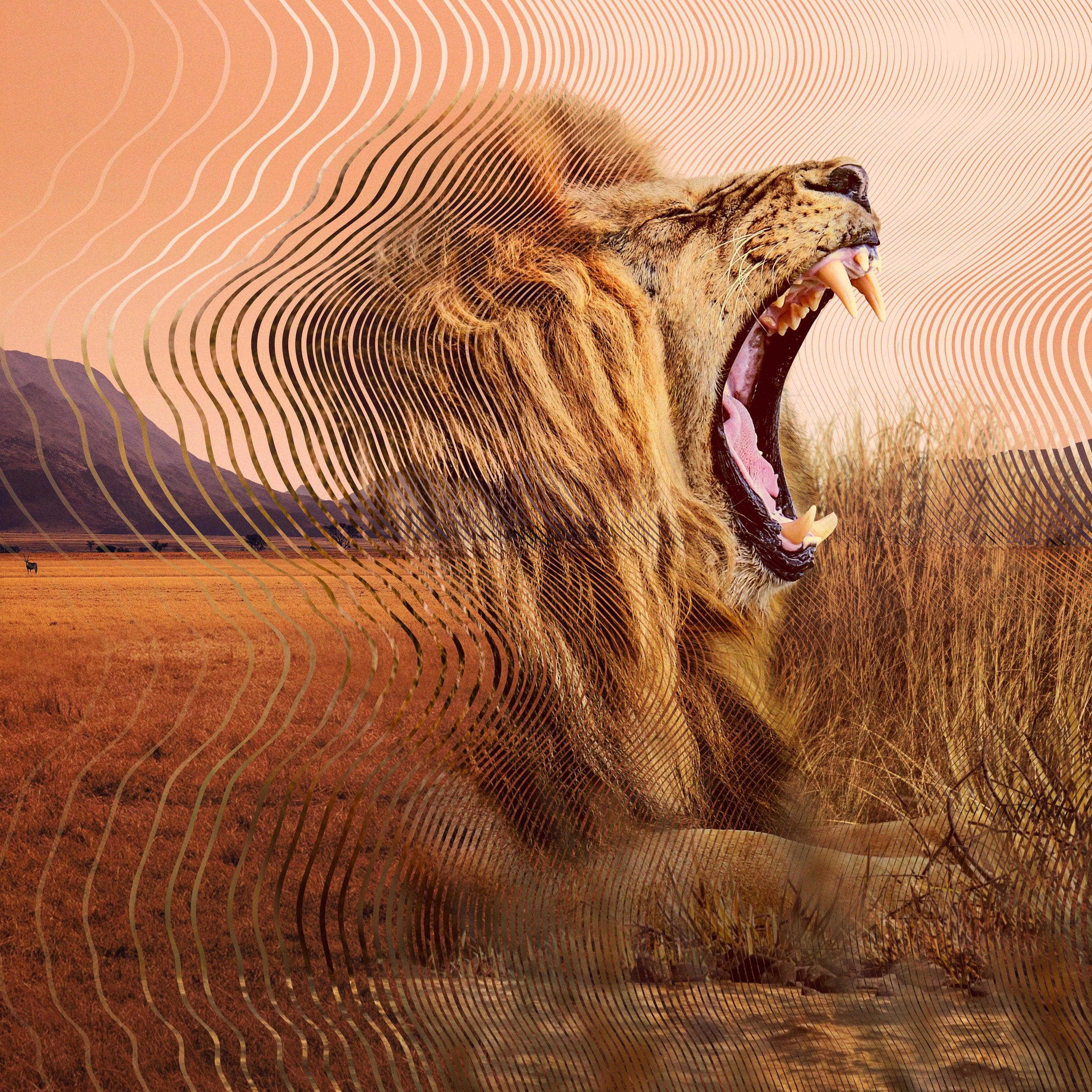 Secret World of Sound with David Attenborough