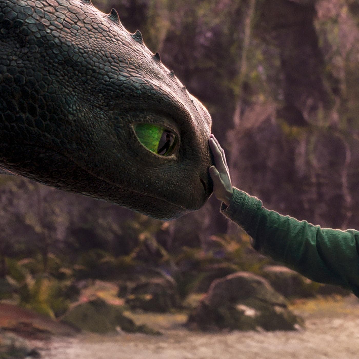 How to Train Your Dragon