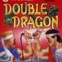 Double Dragon on Random Single NES Game