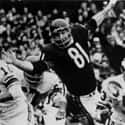 Doug Atkins is listed (or ranked) 3 on the list The Best NFL Players To Have Their Numbers Retired