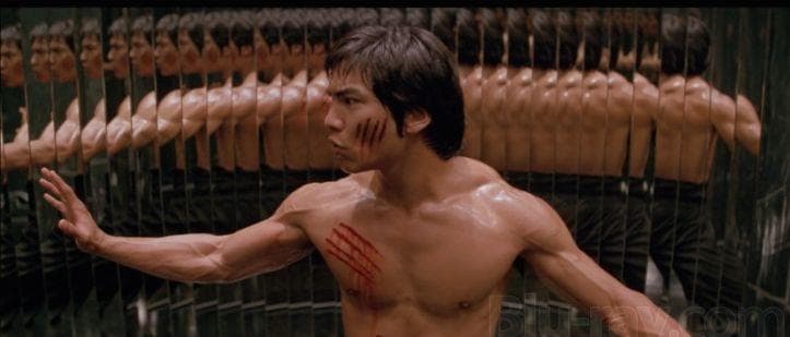 Bruce lee famous movies online