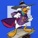 Drake Mallard on Random Best Bird Characters In Cartoons And Comics