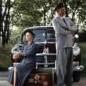 Driving Miss Daisy on Random Great Movies About Male-Female Friendships