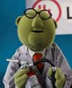 Bunsen Honeydew on Random Most Interesting Muppet Show Characters