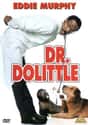 Dr. Dolittle on Random Best Black Movies of 1990s