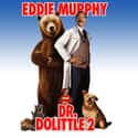 Eddie Murphy, Kristen Wilson, Jeffrey Jones   Dr. Dolittle 2 is a 2001 American comedy film, and the sequel to the 1998 film Dr. Dolittle.