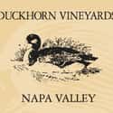 Duckhorn Vineyards on Random Best Wineries in the World