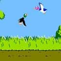 Duck Hunt on Random Single NES Game