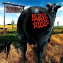 Dude Ranch on Random Best Blink-182 Albums