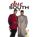 Due South on Random TV Shows Canceled Before Their Time
