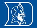 Duke Blue Devils on Random Best Sports Franchises