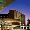 Duke University Hospital on Random Best Pediatric Cancer Hospitals