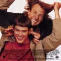 Jim Carrey, Jeff Daniels, Teri Garr   Dumb and Dumber is a 1994 American road buddy comedy film starring Jim Carrey and Jeff Daniels.
