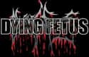 Dying Fetus on Random Best Death Metal Bands