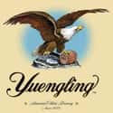 Yuengling on Random Top Beer Companies